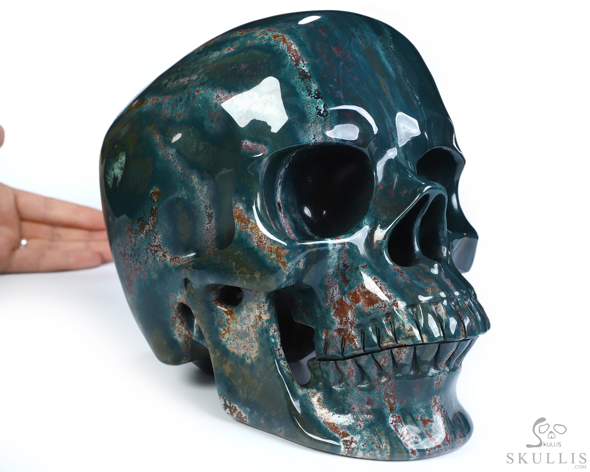 Lifesized 8.0" Bloodstone Hand Carved Crystal Skull, Super Realistic, Crystal Healing Lifesized 8.0" Bloodstone Hand Carved Crystal Skull, Super Realistic, Crystal Healing