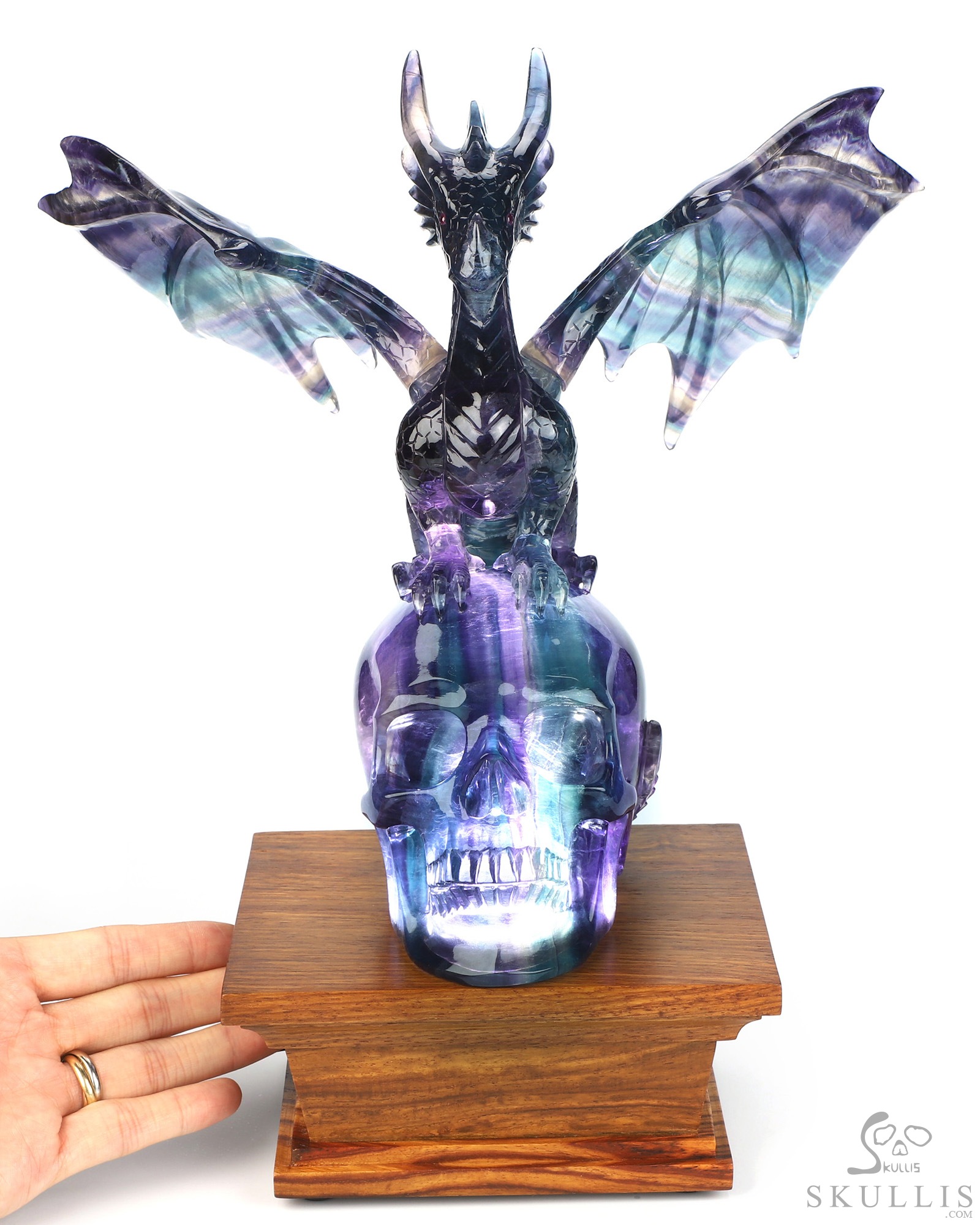 Skull's Scaly Sentinel -10.8" Fluorite Hand Carved Hollow Crystal Skull and Dragon Fine Art Sculpture Lamp/Light, Crystal Healing Skull's Scaly Sentinel -10.8" Fluorite Hand Carved Hollow Crystal Skull and Dragon Fine Art Sculpture Lamp/Light, Crystal Healing