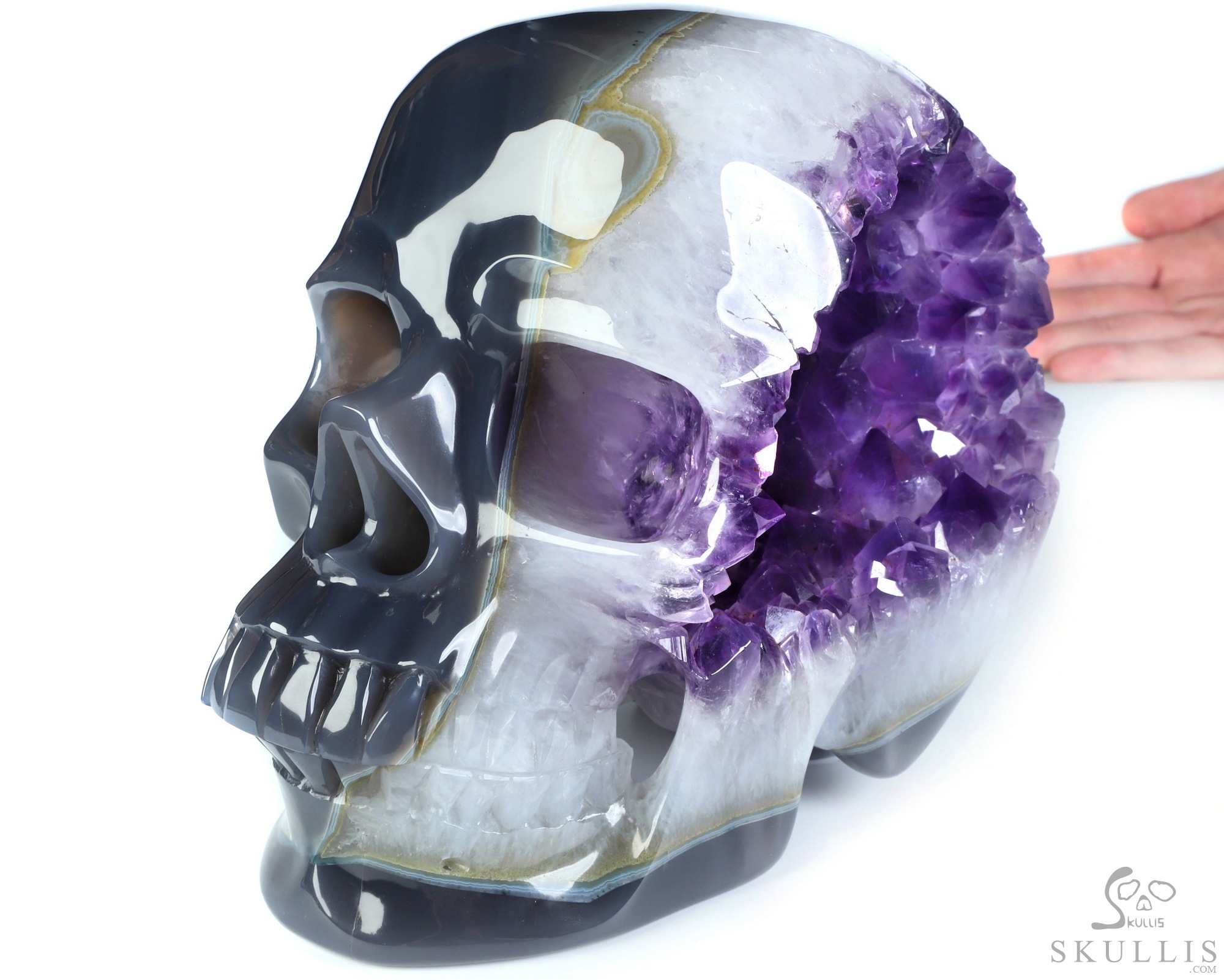 The Infinite Horizon - Lifesized 8.1" Agate Amethyst Geode Hand Carved Crystal Skull, Super Realistic, Crystal Healing The Infinite Horizon - Lifesized 8.1" Agate Amethyst Geode Hand Carved Crystal Skull, Super Realistic, Crystal Healing