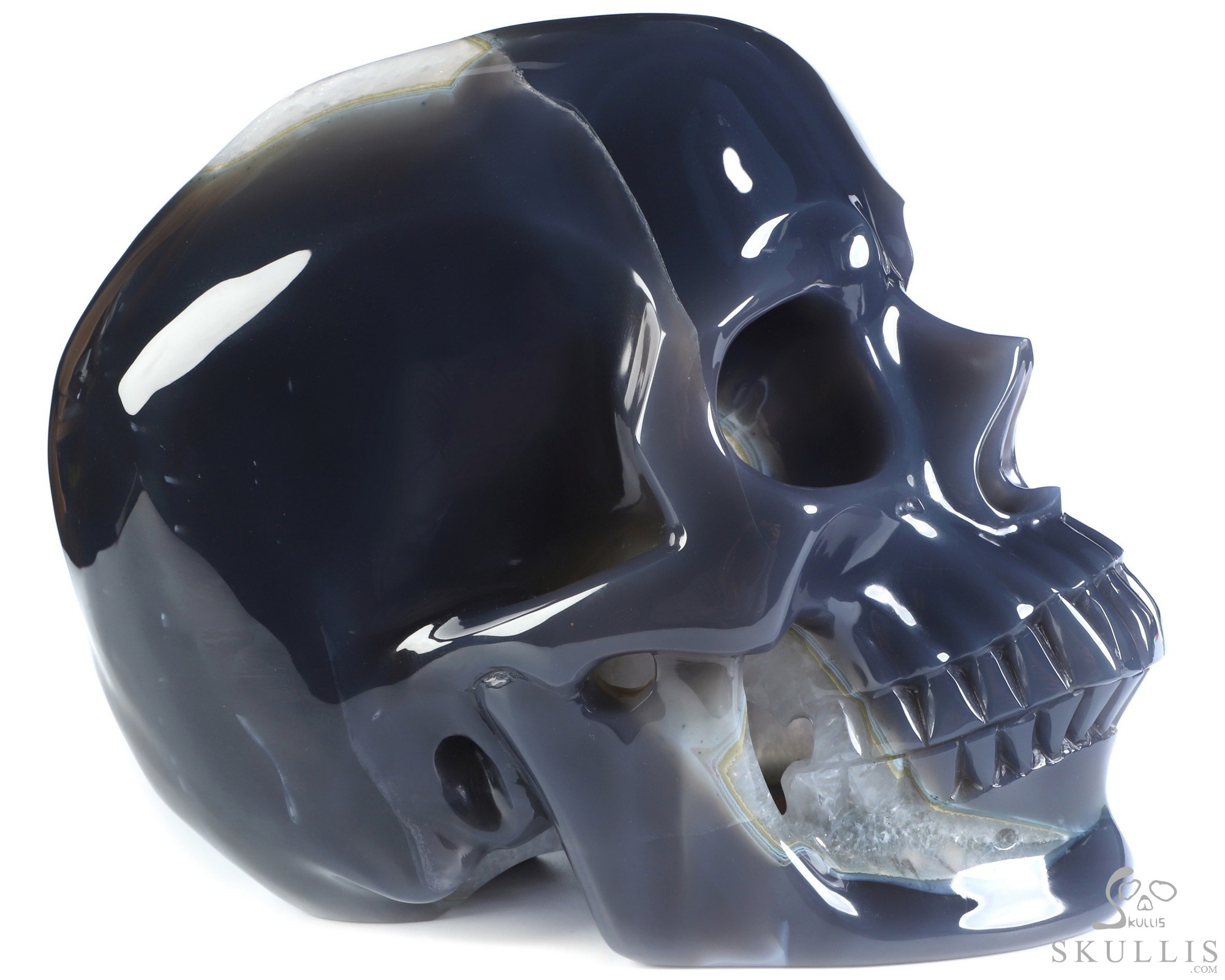 The Infinite Horizon - Lifesized 8.1" Agate Amethyst Geode Hand Carved Crystal Skull, Super Realistic, Crystal Healing The Infinite Horizon - Lifesized 8.1" Agate Amethyst Geode Hand Carved Crystal Skull, Super Realistic, Crystal Healing