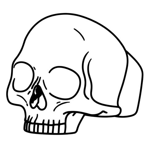 Skull Ring Style R45