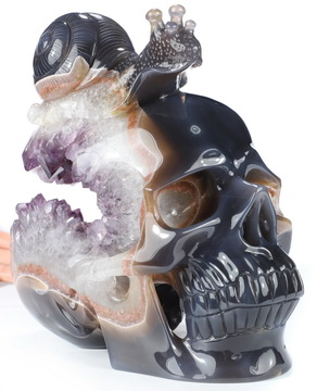 7.9" Agate Amethyst Geode Hand Carved Crystal Skull and Snail Sculpture, Crystal Healing