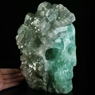 10.5" Fluorite Hand Carved Crystal Skull Fine Art Sculpture, Crystal Healing